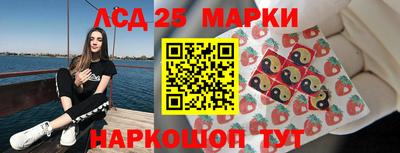 тгк Бердск