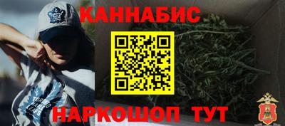 тгк Бердск