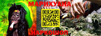 тгк Бердск